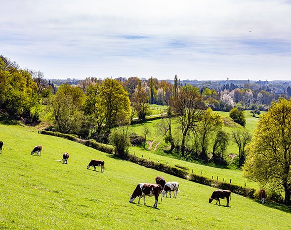 Découvrir l'agence d'interim La Haye du Puits